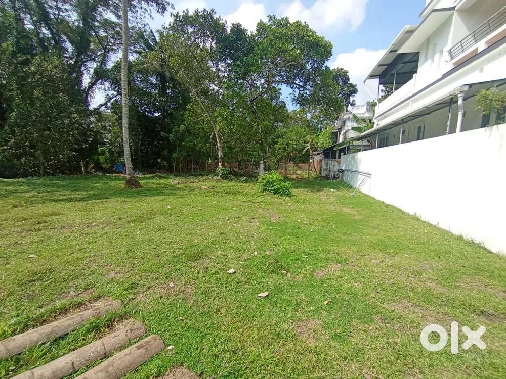 8 cent plot for sale Thathappily Bus stop50 meter