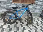 Cult sport bycycle monstro