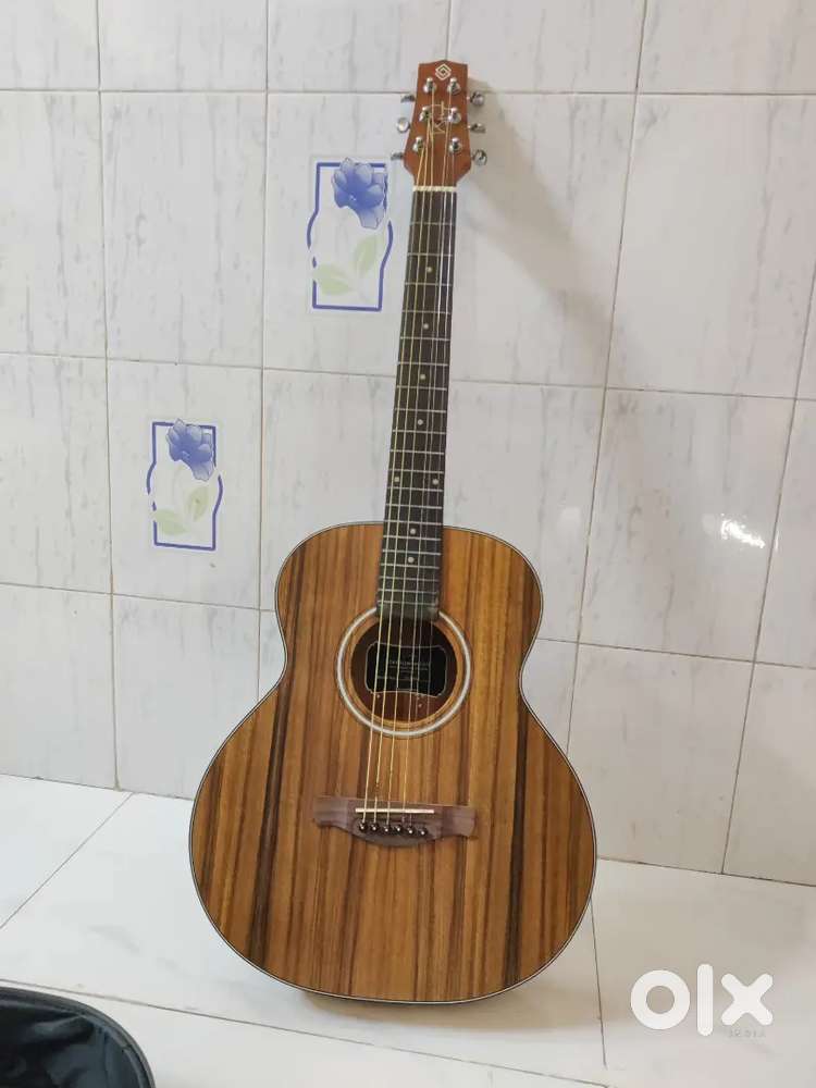 Guitar Tstnydon