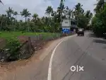 Aluva kadungalloor,commercial 7,cent