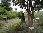 Site for sale
