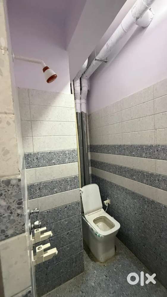 Roomate required