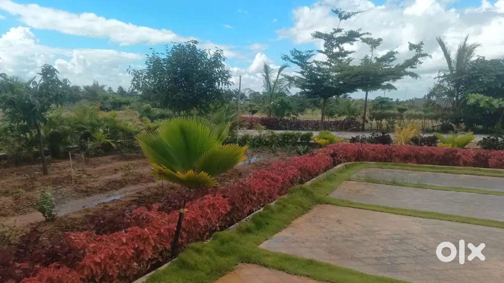 Plots for sale near chikbalapur