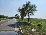 Plot for sale in Bhatgawan