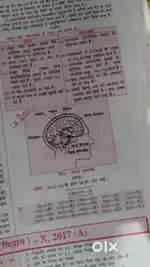 Class 10 th ka question bank 2025 ka sab vvi tick fainel me 450+