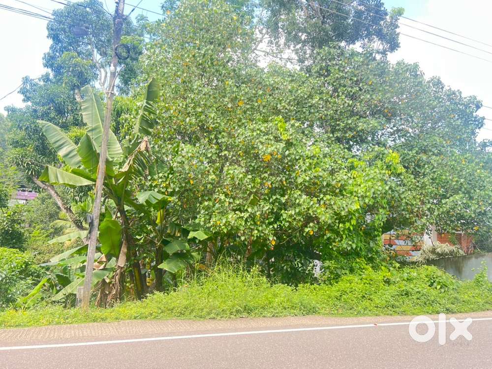 20 cent plot for sale near MC road vamanapuram