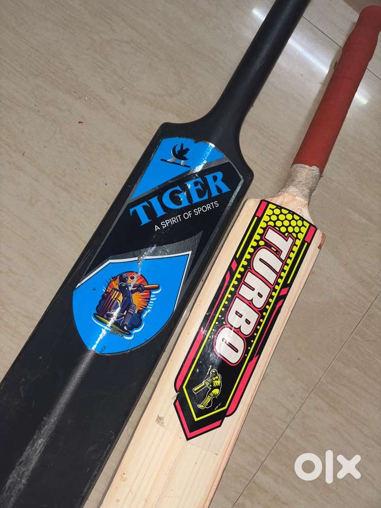 Cricket bat