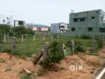 Plot for sale