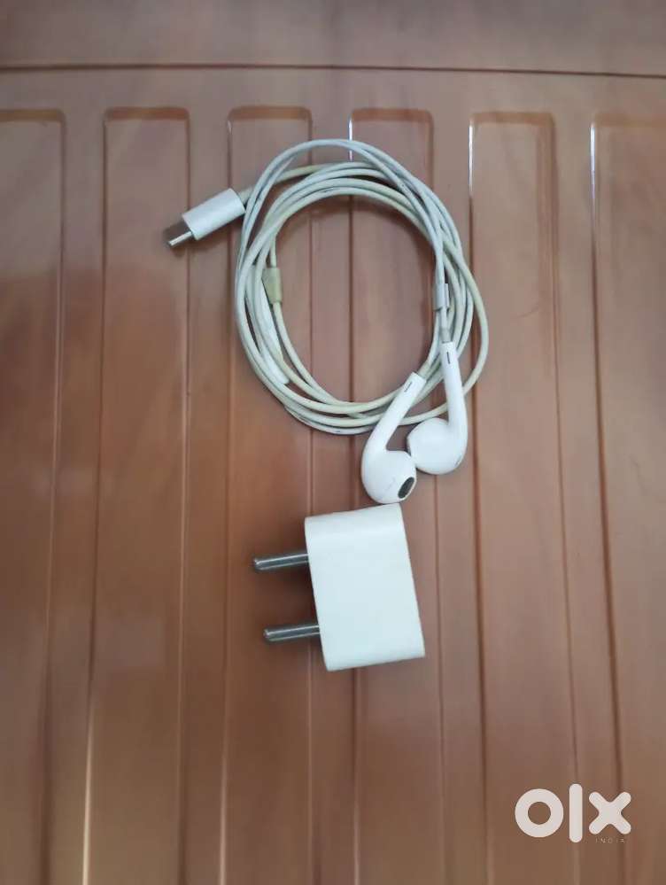 Iphone charger & headphone orignal