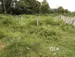 Vijaynagar 4th state 2nd phase plot for sell
