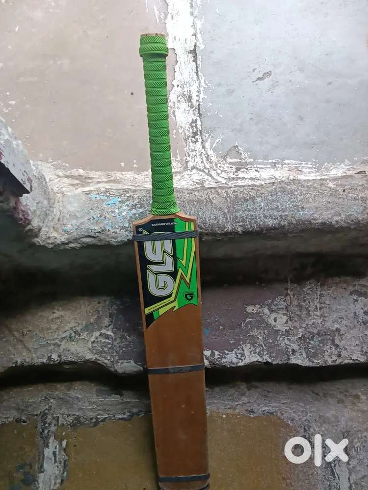 Cricket bat