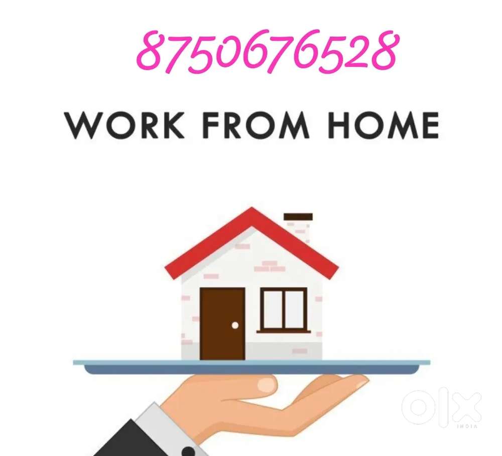 pvt ltd required urgent 185 Male fresher candidate job/homebased
