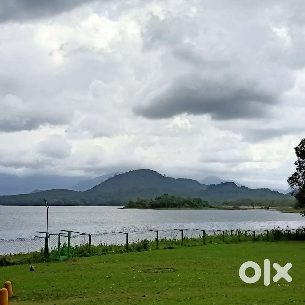 Female malayali cook  needed