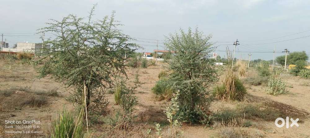 50 square meter, JDA, South, Commercial plot for sale at Ring Road