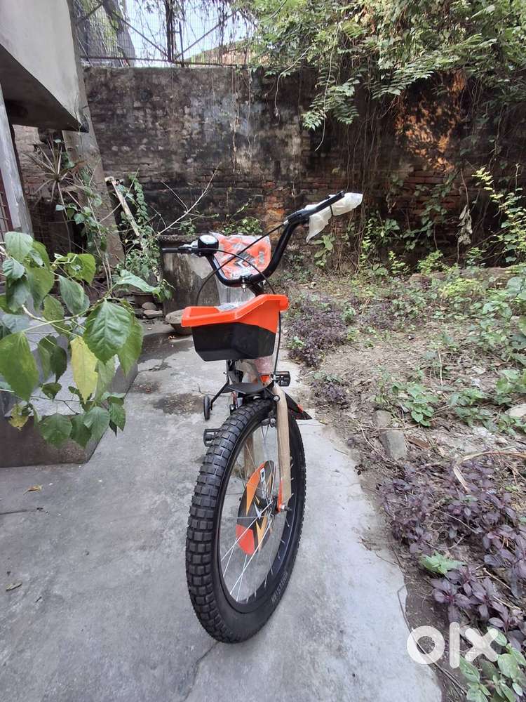 Hero Tango Kids 20inch Bicycle  Carrier(IBC) Baskset