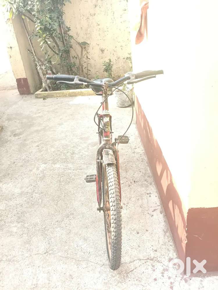 Patra kulhi chouhan basti