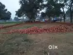 Land Property
