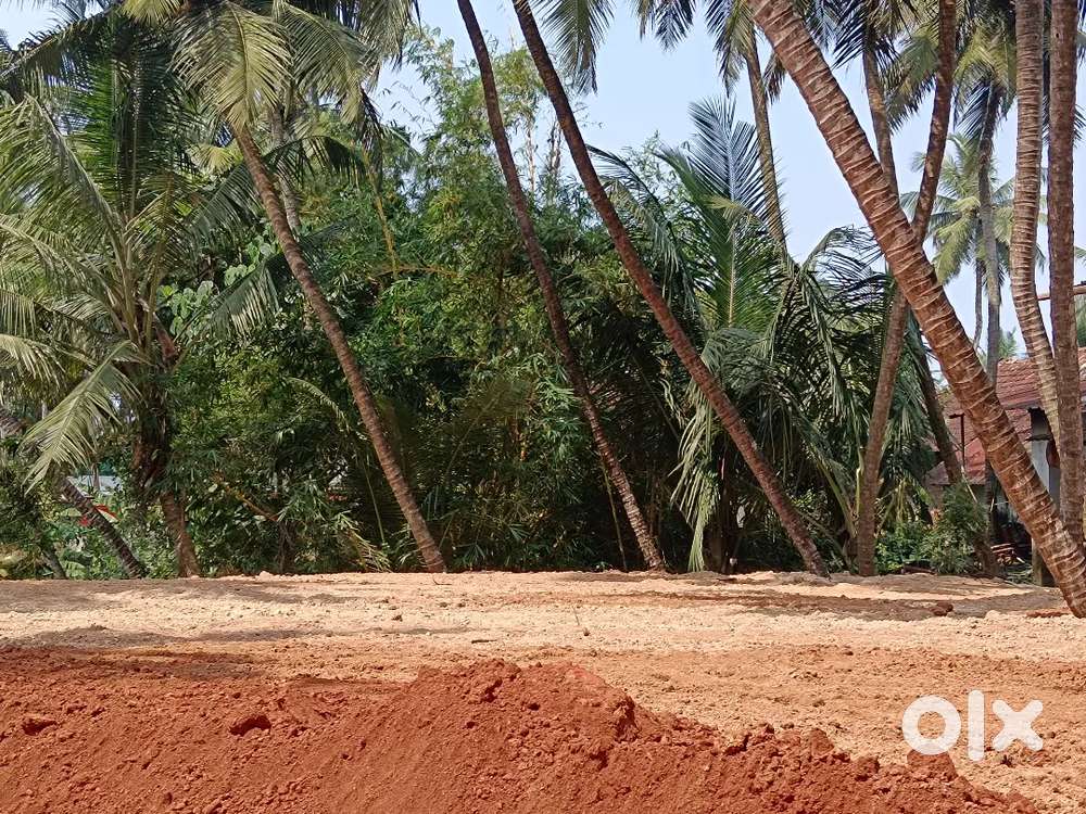 5 to 7 cents land in kuduru kalapu thokottu mangaluru karnataka