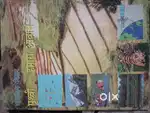 Geography NCERT from 6 to 12 in hindi medium.