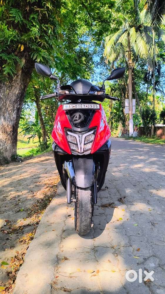 3 years 10 months old