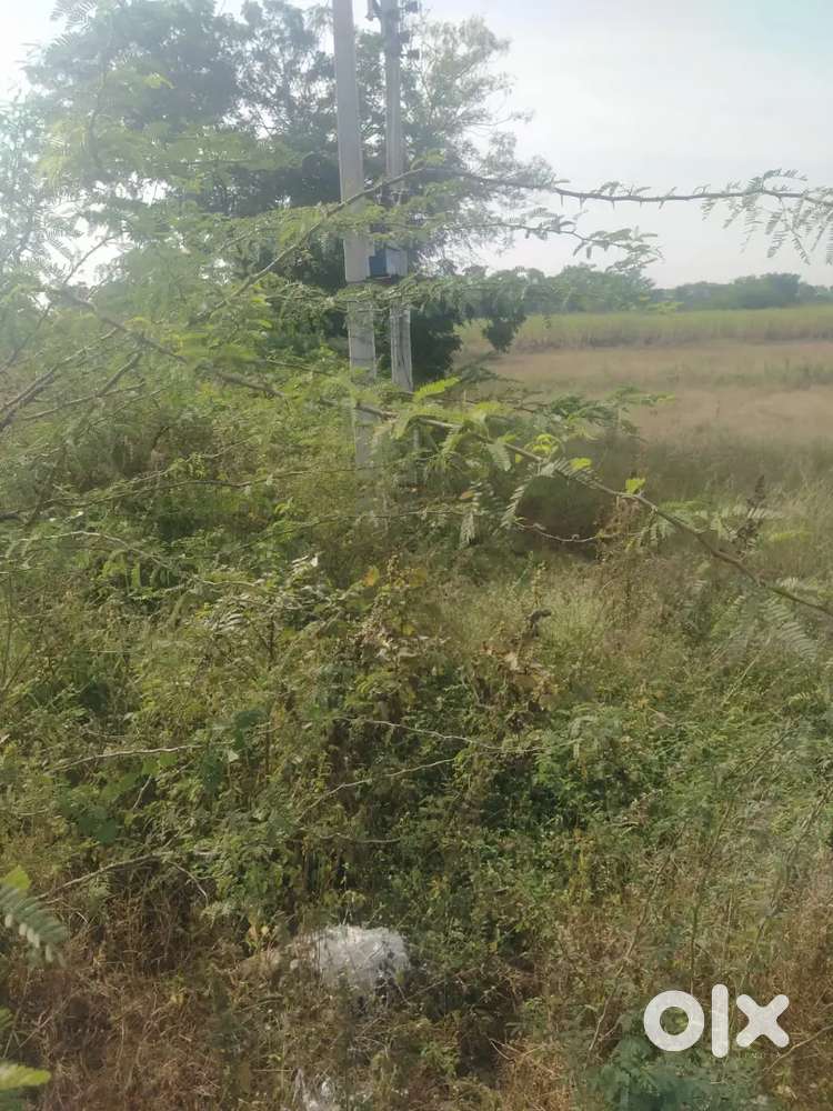 Plot for sale at laul kurduwadi