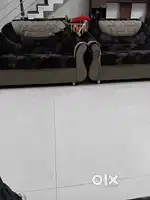 7 seater sofa