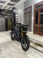 MT 15 Monster Edition