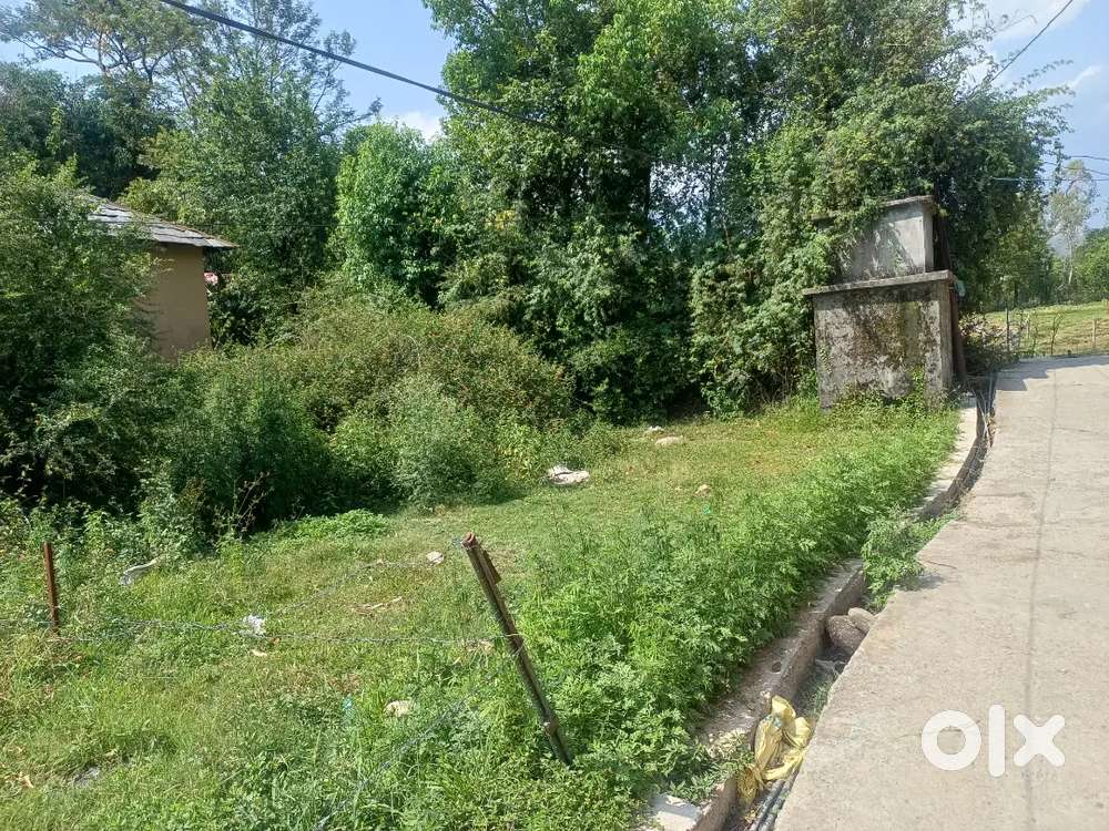 11 Marla plot Ambari Near Maruti showroom Nagrota Bagwan