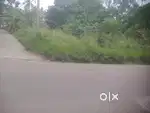 12 cent land for sale near Venganoor Bus route