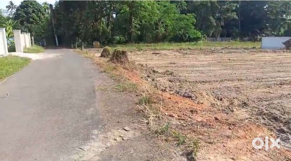 Only Intrested Person Message me