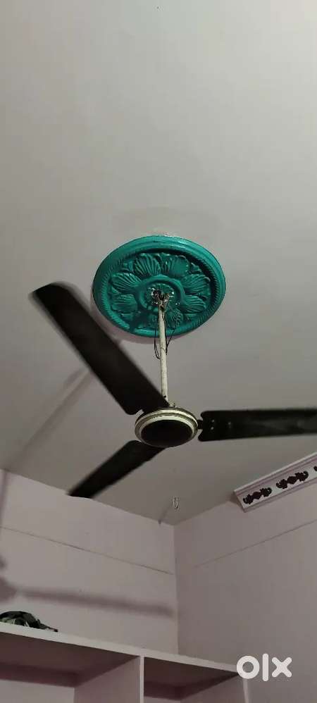 Ceiling fan
