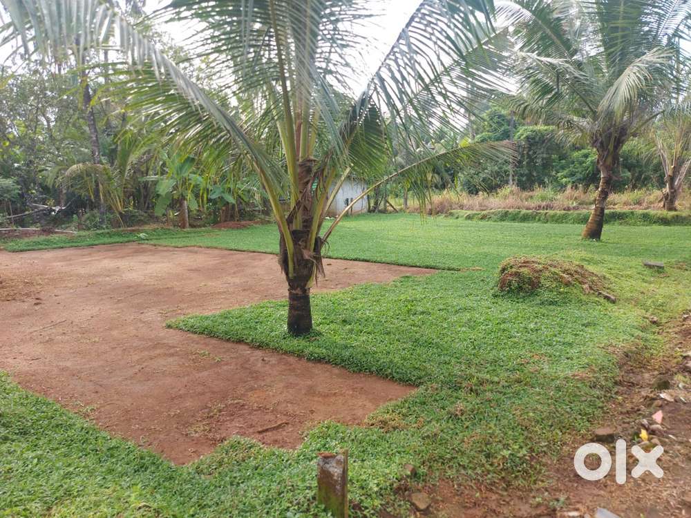 10 cent plot for sale