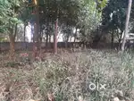 Bus route Plot for sale in Kannadi 23 cents