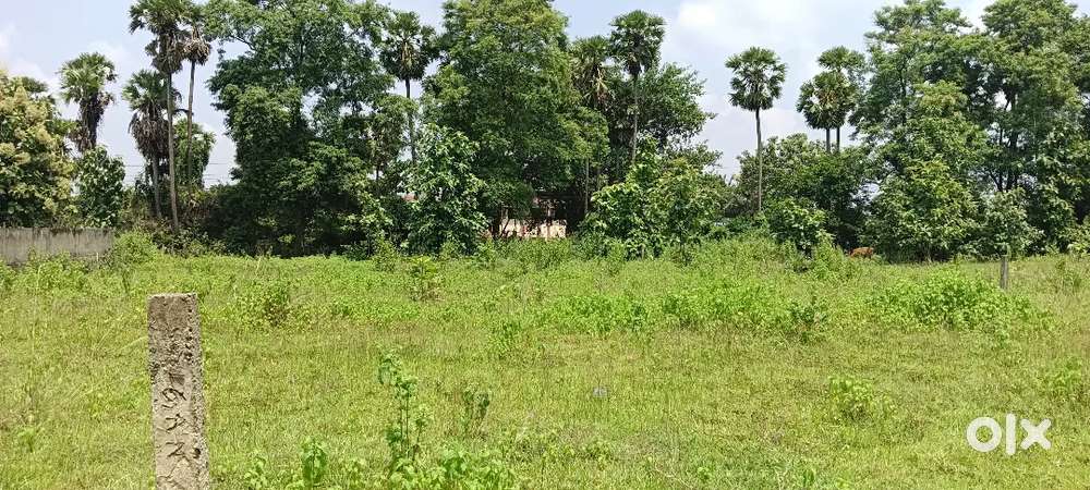 Land for sale