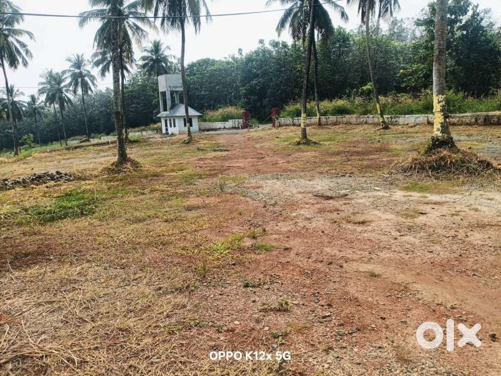Premium plots for sale in Mannarkkad