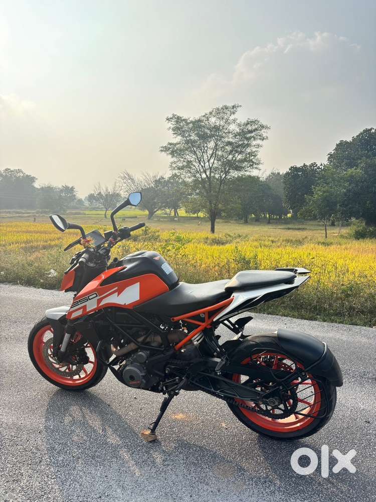 Duke 250 Bs4 model