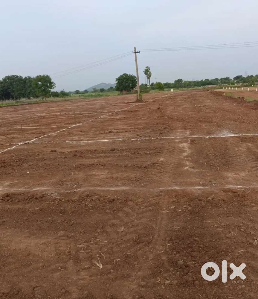 Low Best Future investment plots for sale mucherla 7.5 lakhs