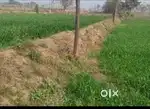 Land for sale prime location Morinda Registry Case