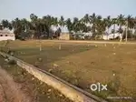 Fk palem site