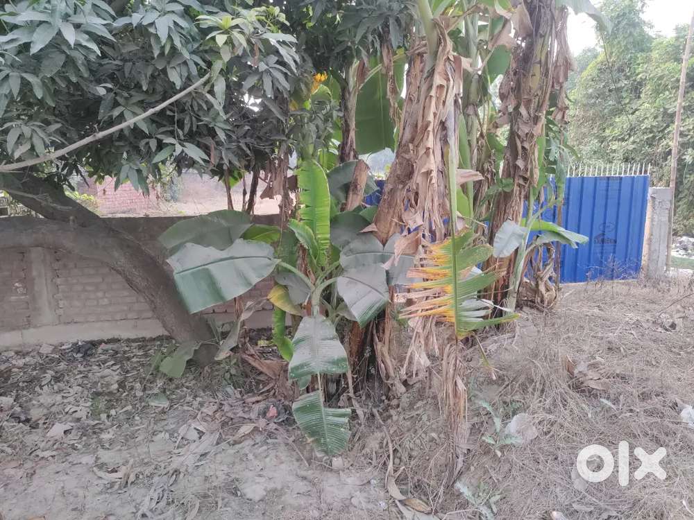 Plot for rent 20000/- per month