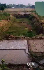 5ft Pokhri khet 7 biswa srinagar siyaraha