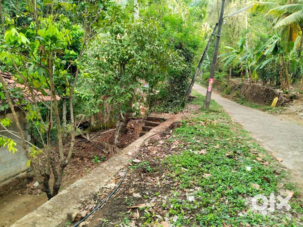 67 cents agricultural land with a raw old small village house