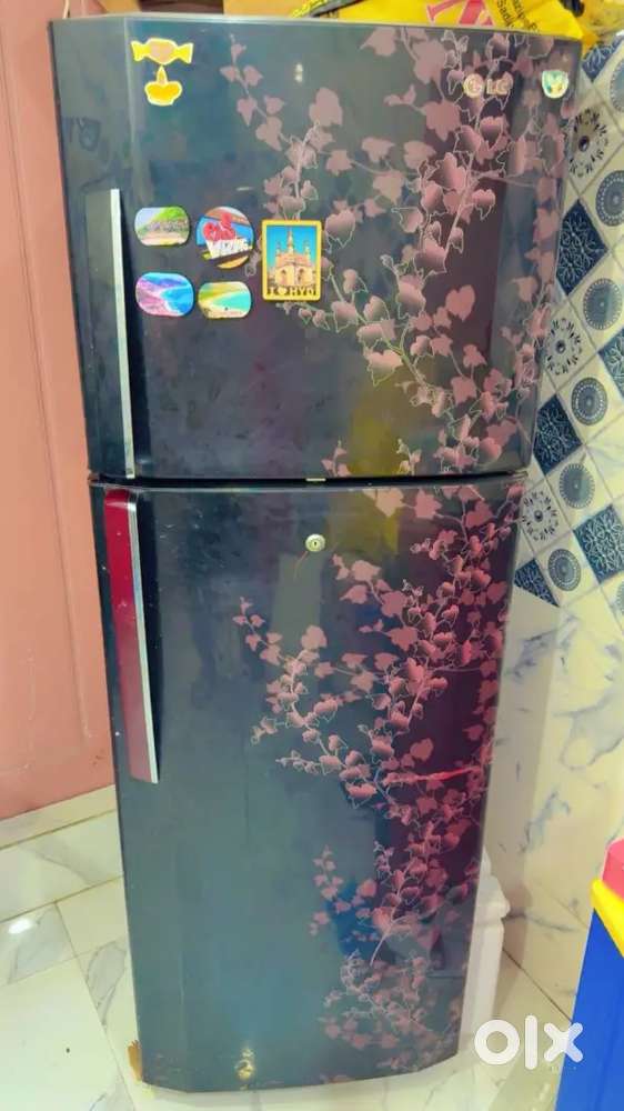 Lg Refrigerator