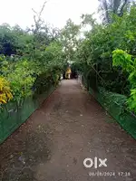 Independant House