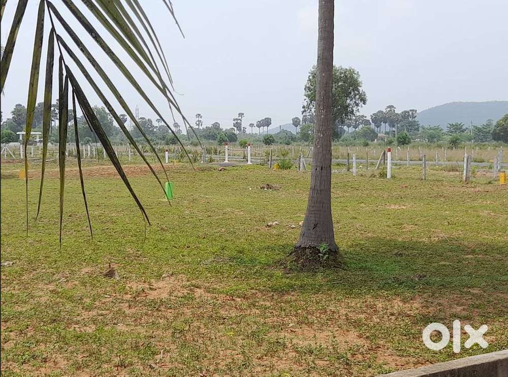 Best House Plots @ Best Price : Atchutapuram