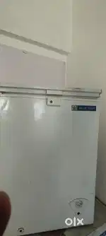 Blue Star 500 Ltr Deep Freezer