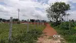 Farm land near bangalore airport