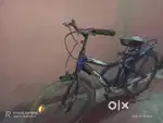 Mount cycle