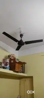 Ceiling fan