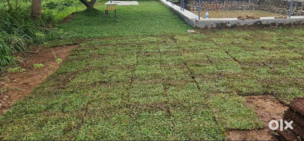 House plot in Elappully for sale